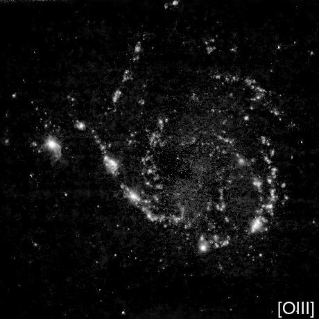M101 (Pinwheel Galaxy) in [OIII]